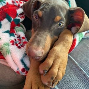 Meet your Posher, Mandy